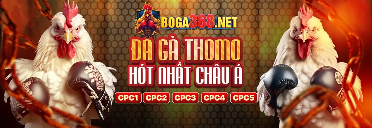 Nền tảng Win55 an toàn và bảo mật
